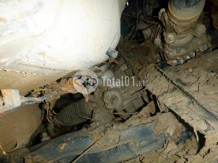 Фото KIA Sportage 360