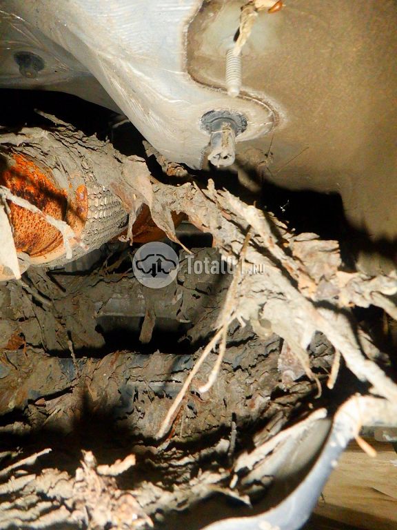 Фото KIA Sportage 366