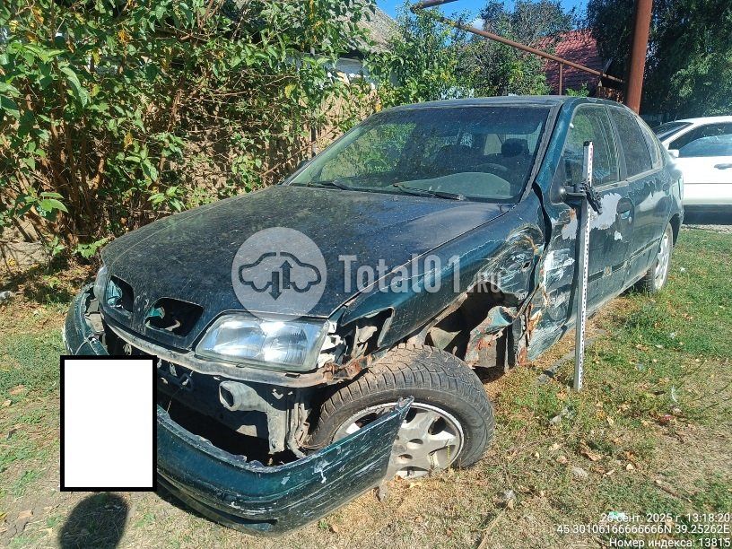 Фото Nissan Primera 10