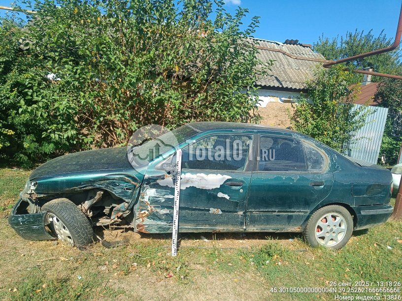 Фото Nissan Primera 12