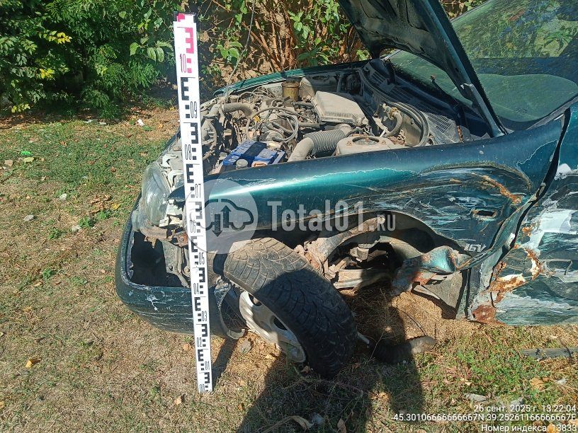 Фото Nissan Primera 24
