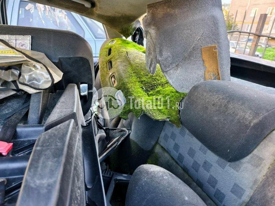 Фото Ford Focus 14