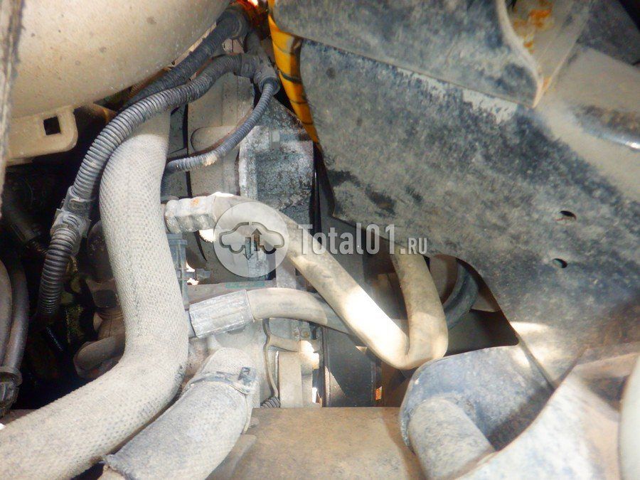 Фото MAN TGX 342