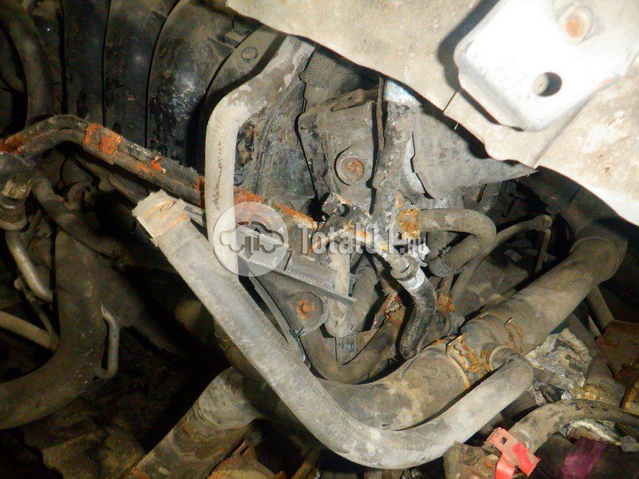 Фото Toyota Auris 294