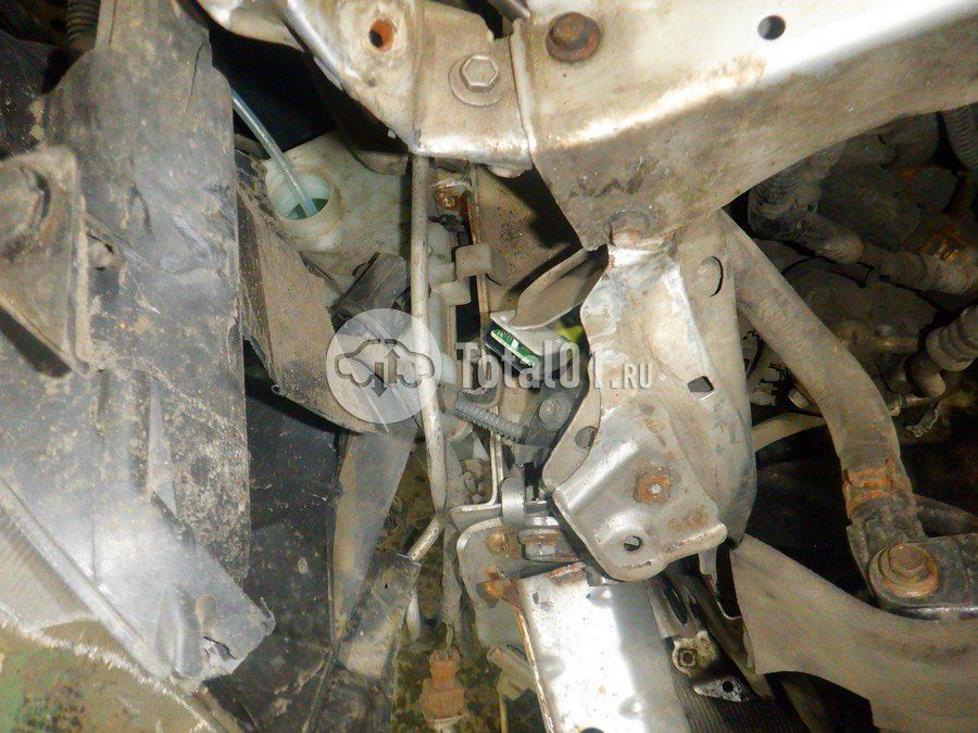 Фото Toyota Auris 310