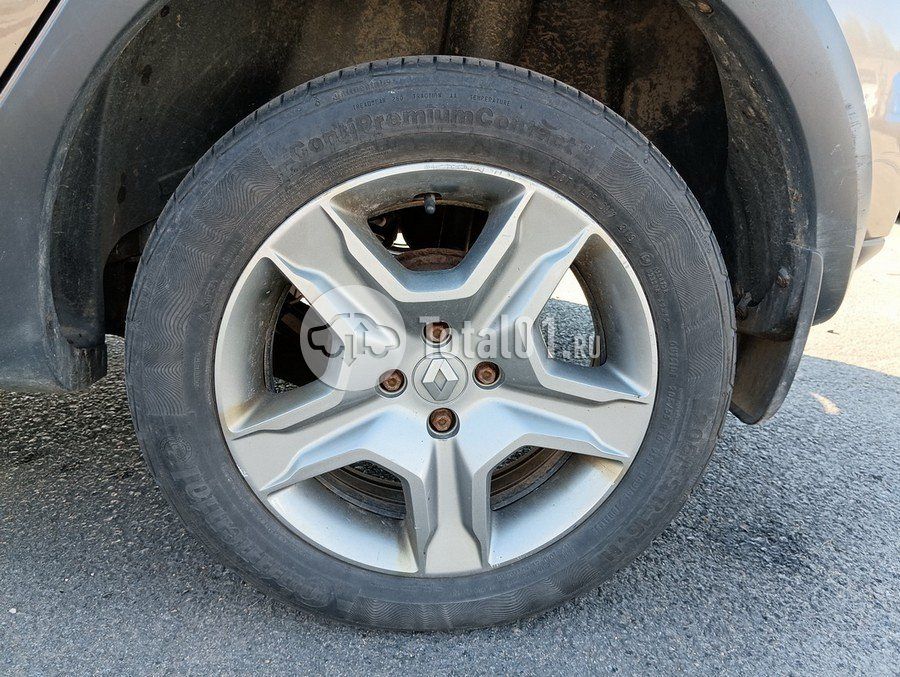 Фото Renault Sandero 198