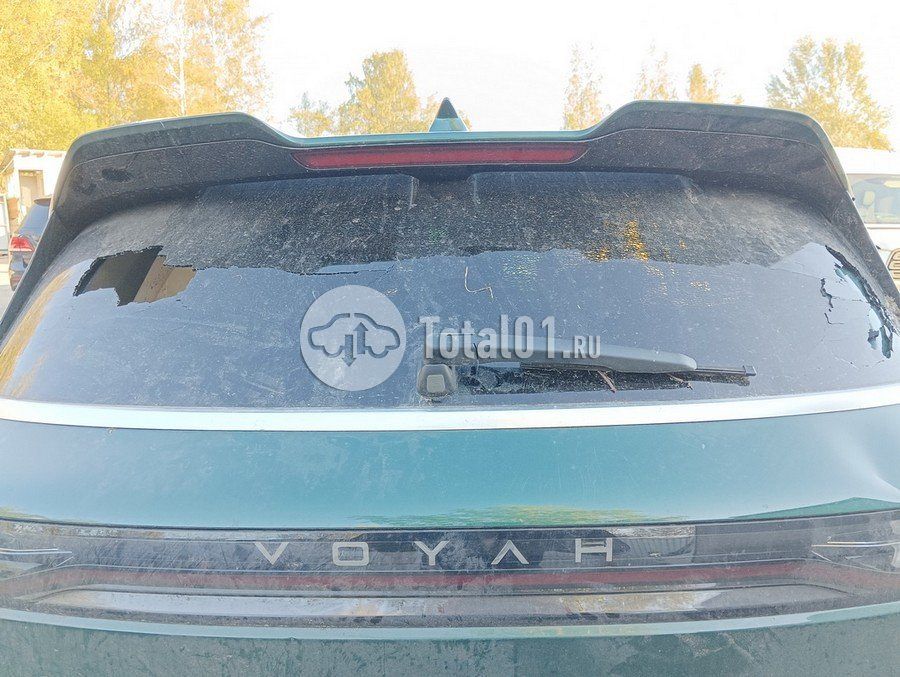 Фото Voyah Free 90