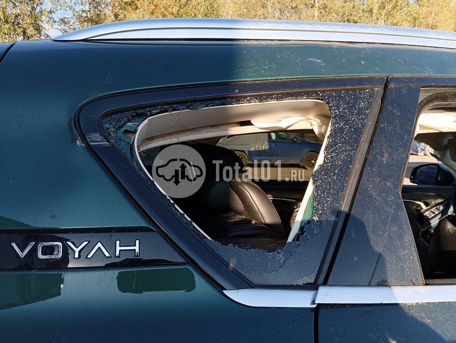 Фото Voyah Free 106