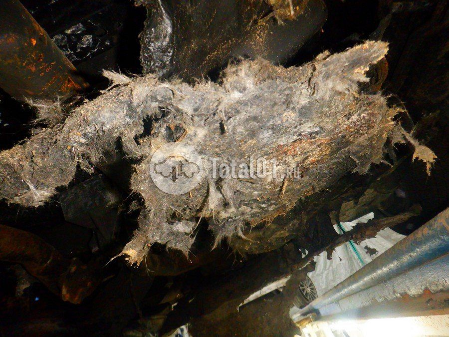 Фото Mercedes-Benz V-класс 236