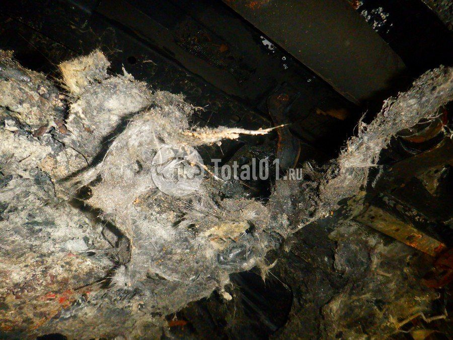 Фото Mercedes-Benz V-класс 262