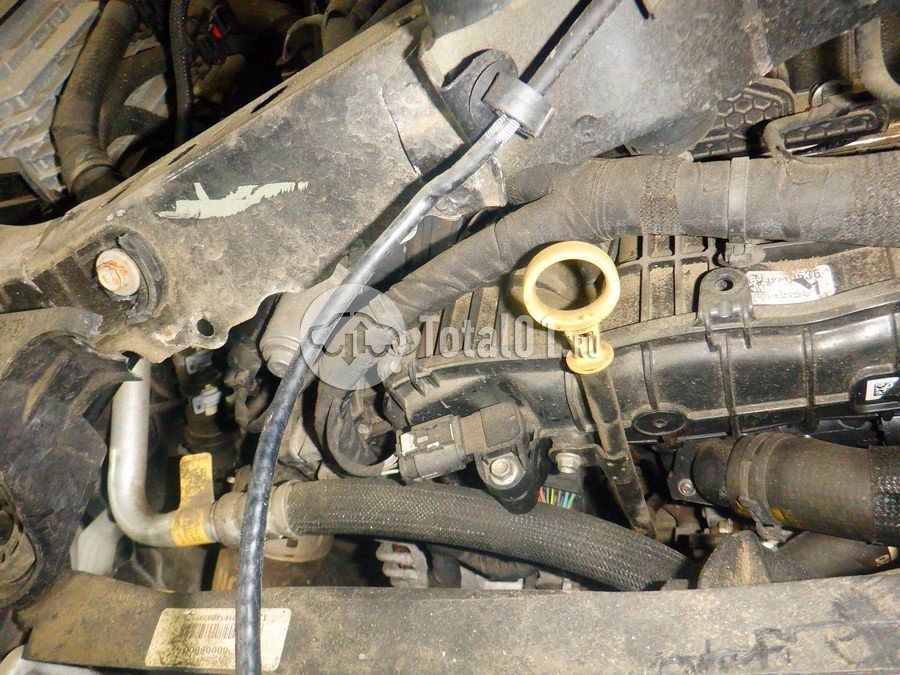 Фото Chevrolet TrailBlazer 272