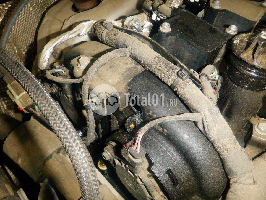 Фото Chevrolet TrailBlazer 302