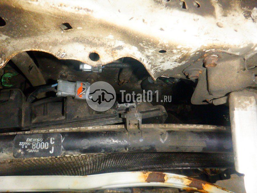 Фото Honda CR-V 302