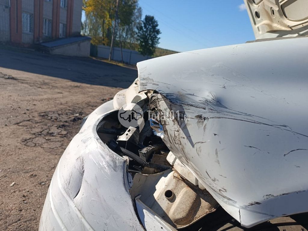 Фото Renault Clio 26