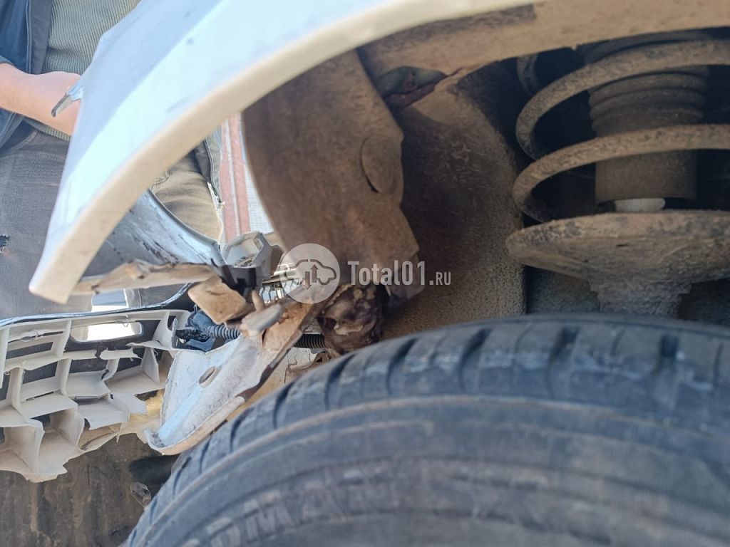 Фото Renault Clio 44