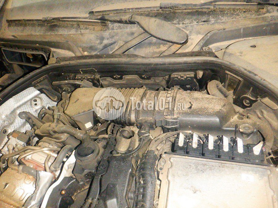 Фото Mercedes-Benz E-класс 244