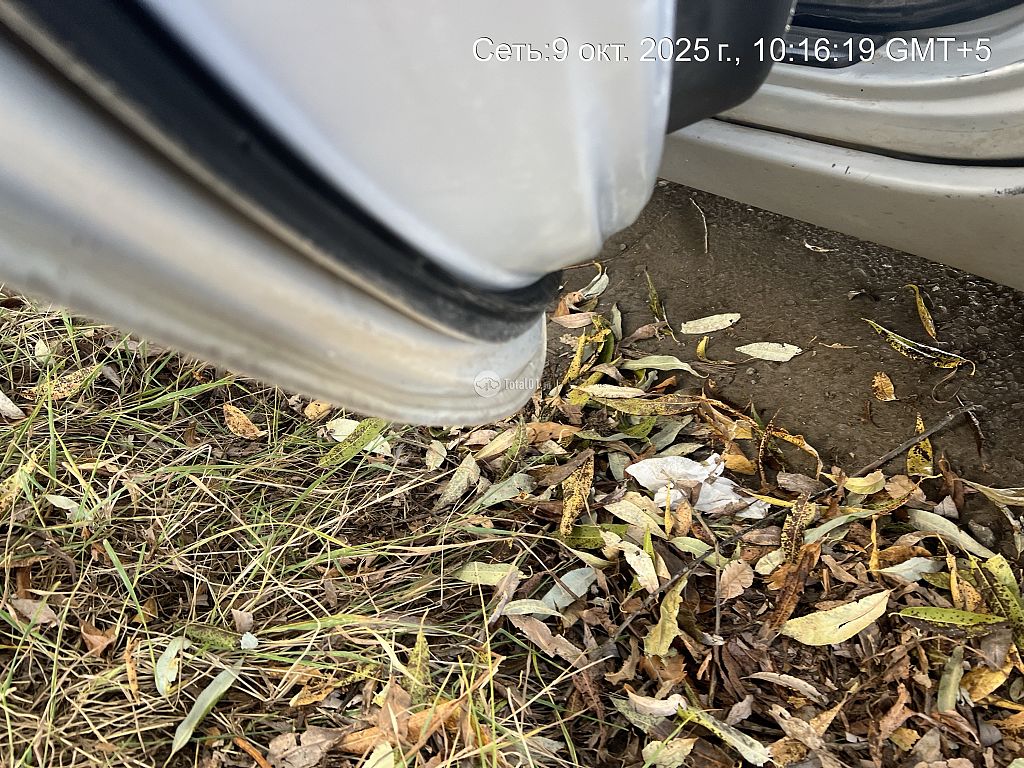 Фото Nissan Primera 172