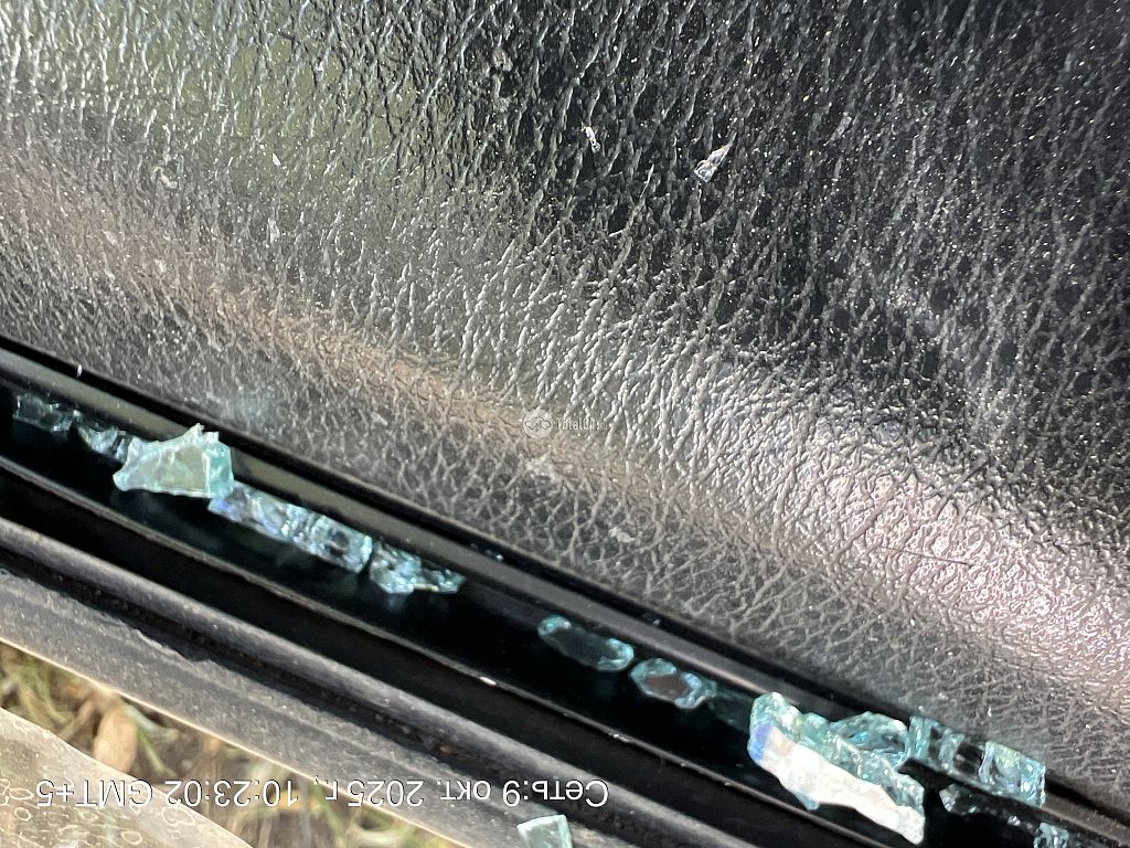 Фото Nissan Primera 188