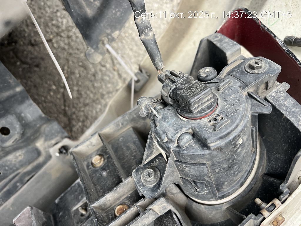 Фото Nissan Presage 130