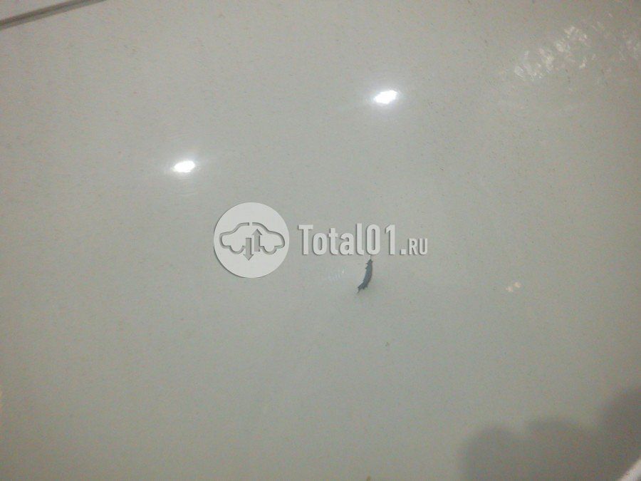 Фото ВАЗ (LADA) Largus 178