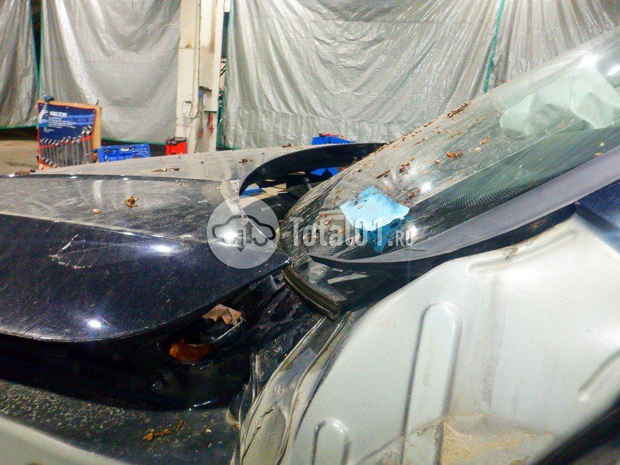 Фото Volkswagen Tiguan 208