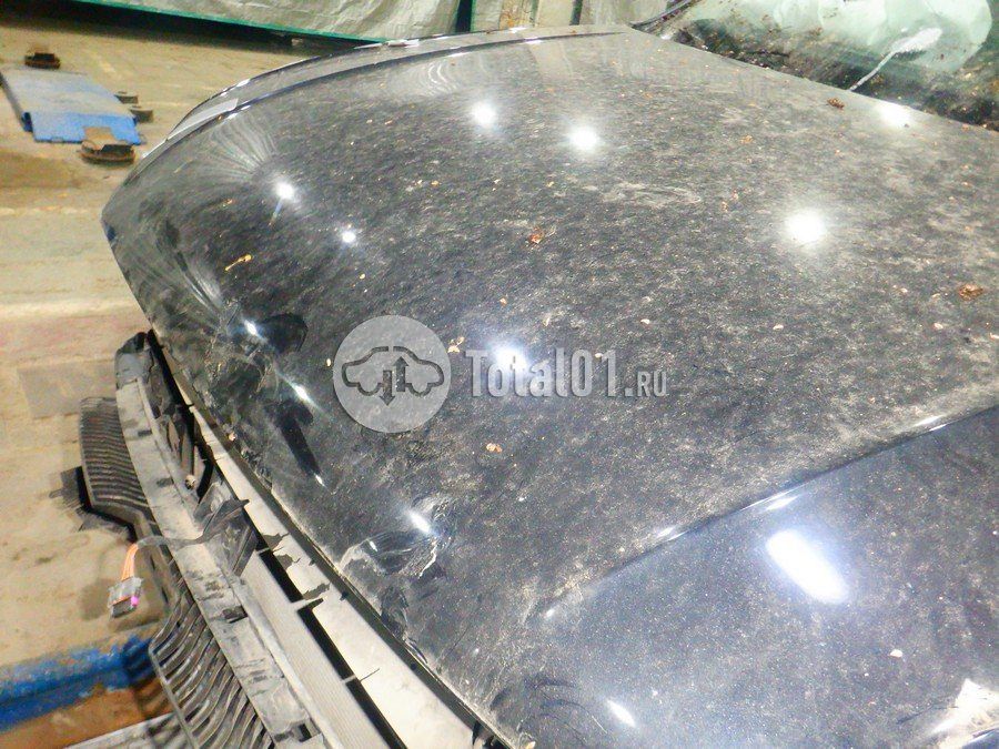 Фото Volkswagen Tiguan 234