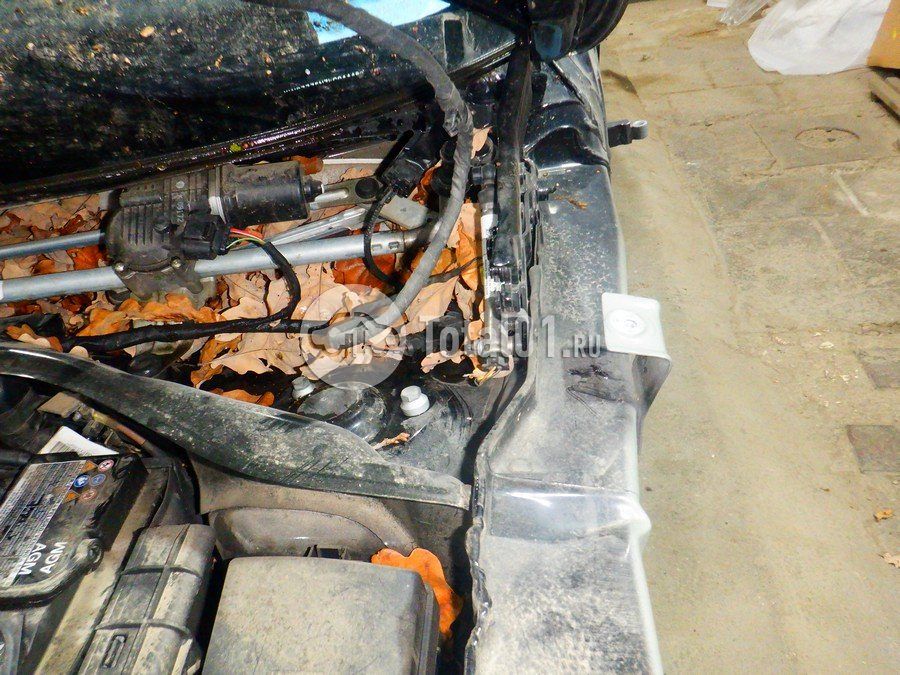 Фото Volkswagen Tiguan 238