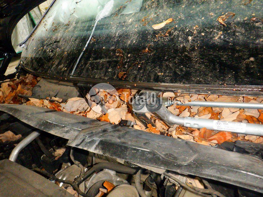 Фото Volkswagen Tiguan 242