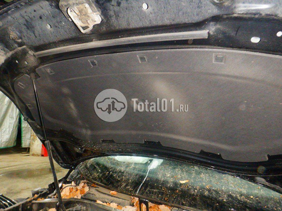 Фото Volkswagen Tiguan 244