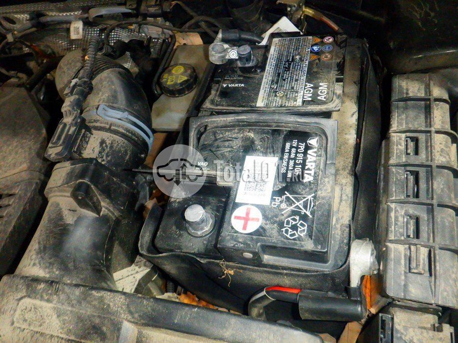 Фото Volkswagen Tiguan 248