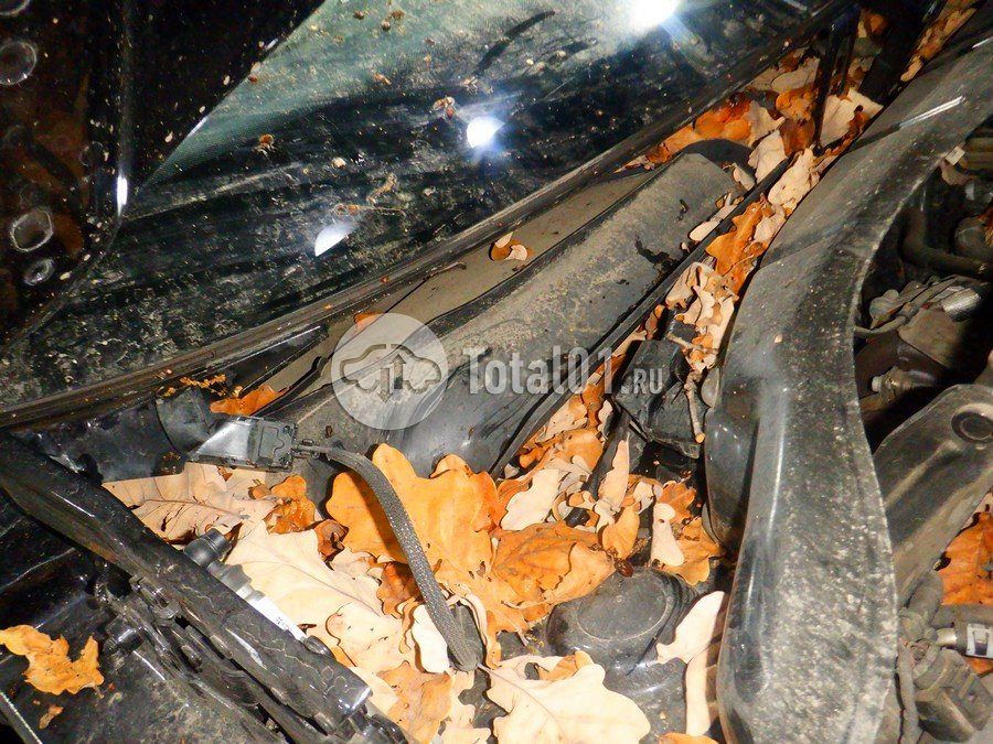 Фото Volkswagen Tiguan 264