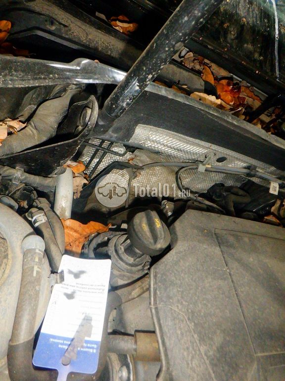 Фото Volkswagen Tiguan 268