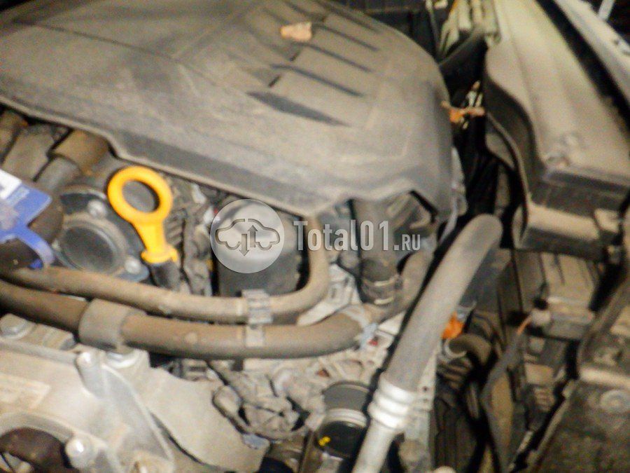 Фото Volkswagen Tiguan 282