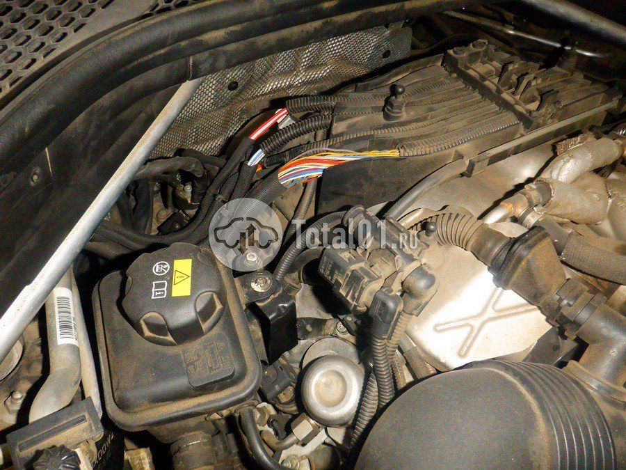 Фото BMW X6 M 248