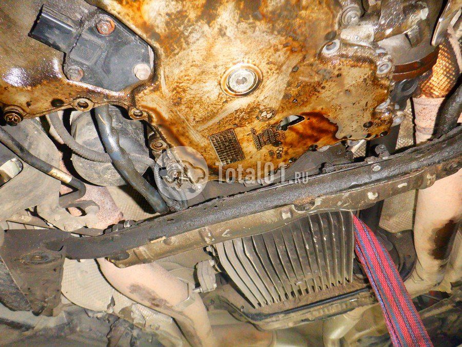 Фото BMW X6 M 286