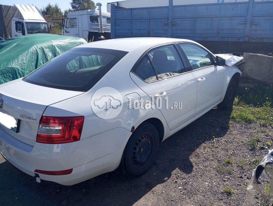 Фото Skoda Octavia 4
