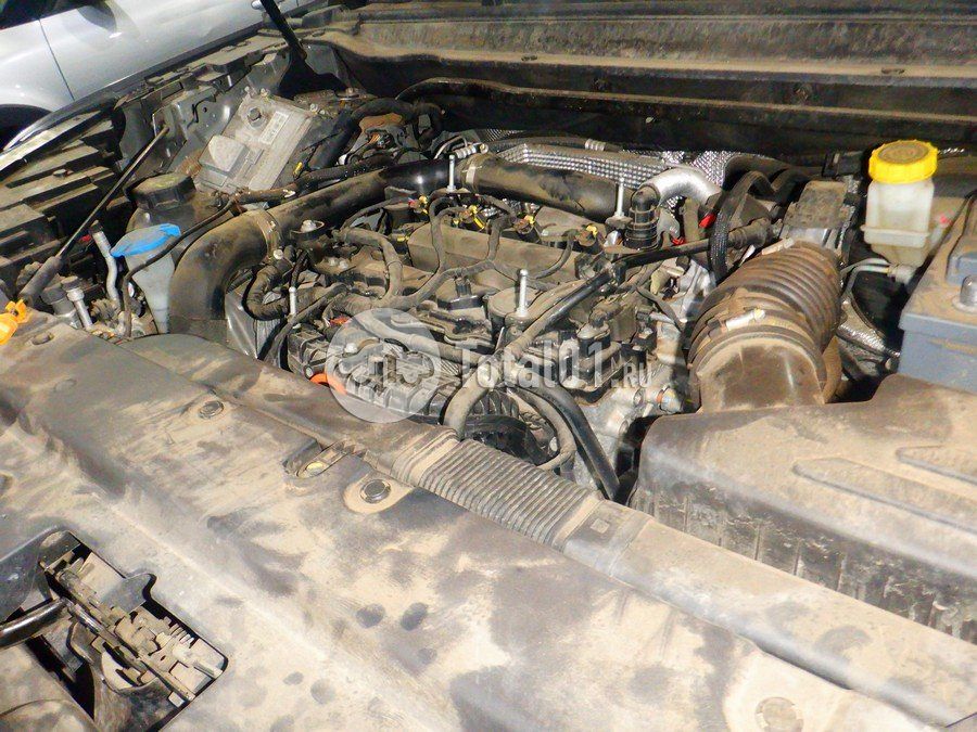 Фото Haval Jolion 172