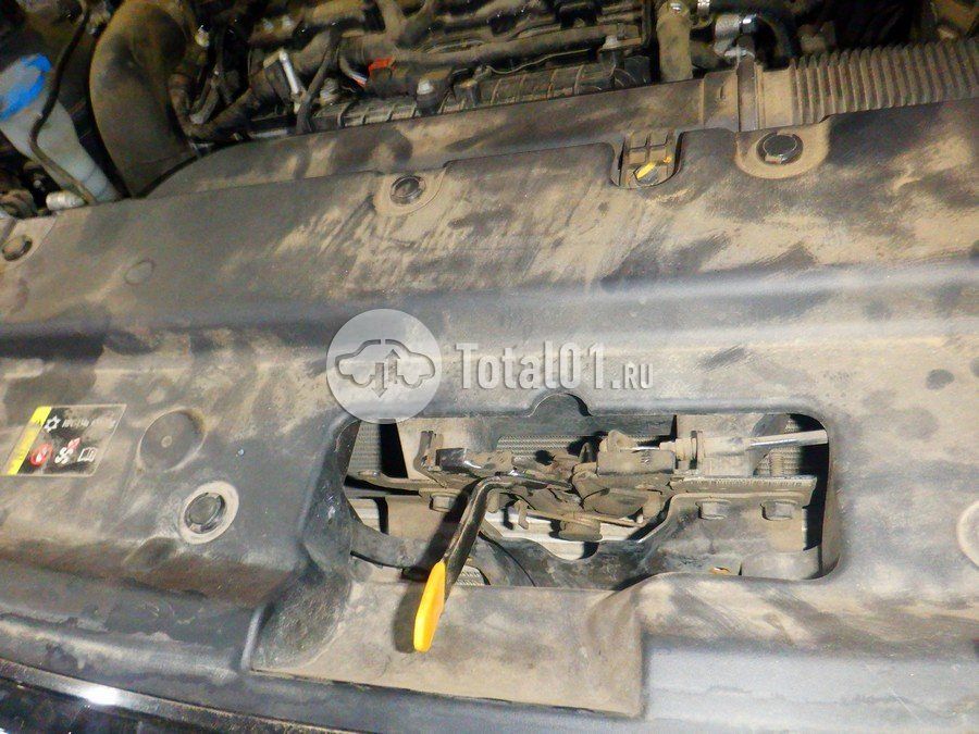 Фото Haval Jolion 174