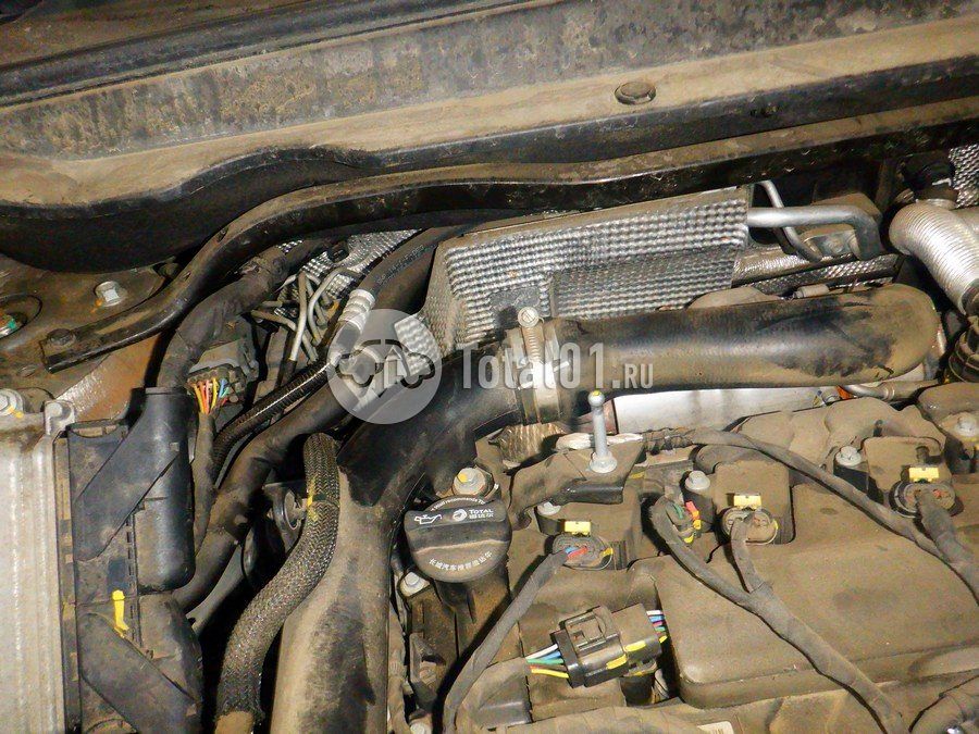 Фото Haval Jolion 178