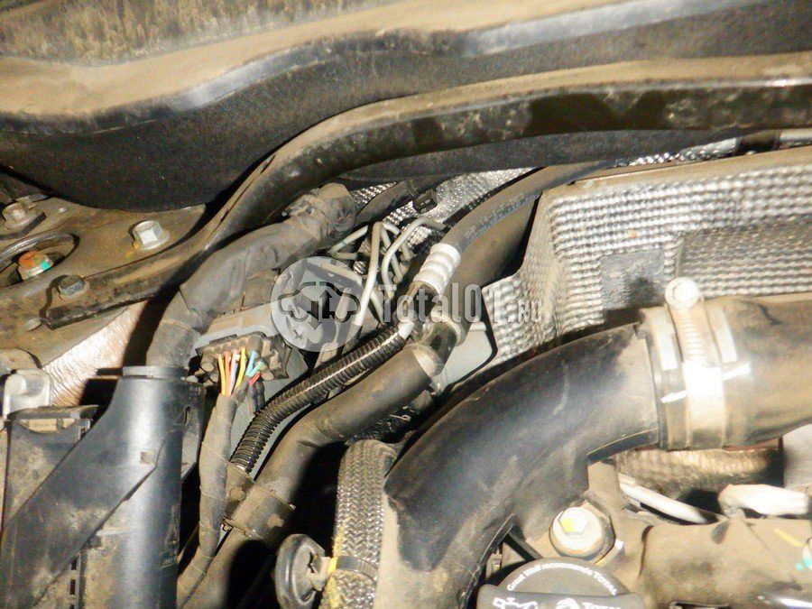 Фото Haval Jolion 180