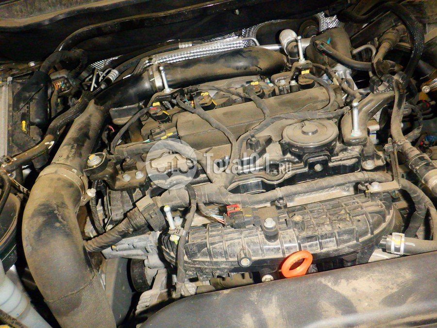 Фото Haval Jolion 186