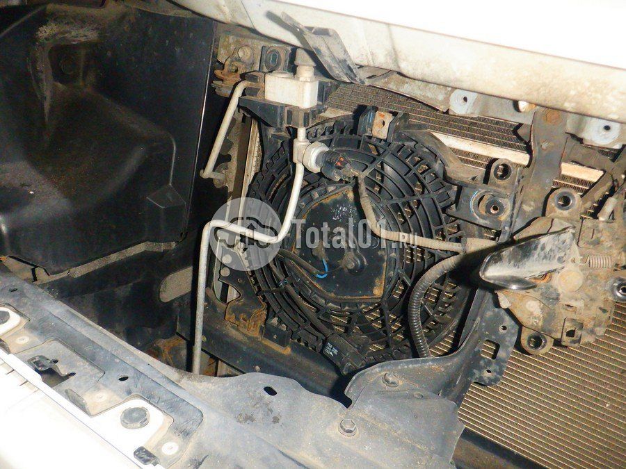 Фото Toyota Land Cruiser Prado 300