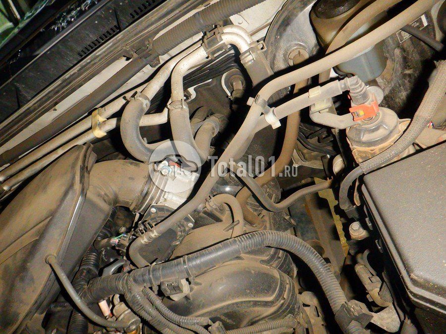 Фото Toyota Land Cruiser Prado 316