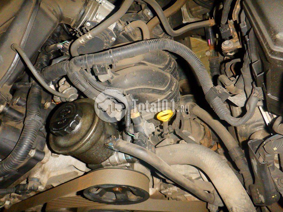 Фото Toyota Land Cruiser Prado 318