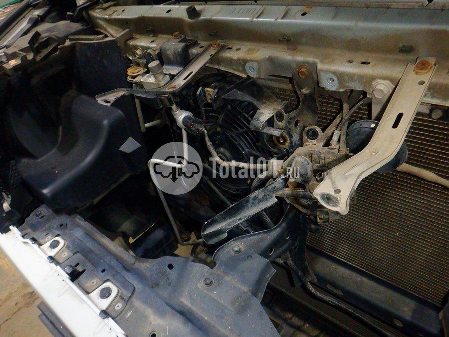 Фото Toyota Land Cruiser Prado 324