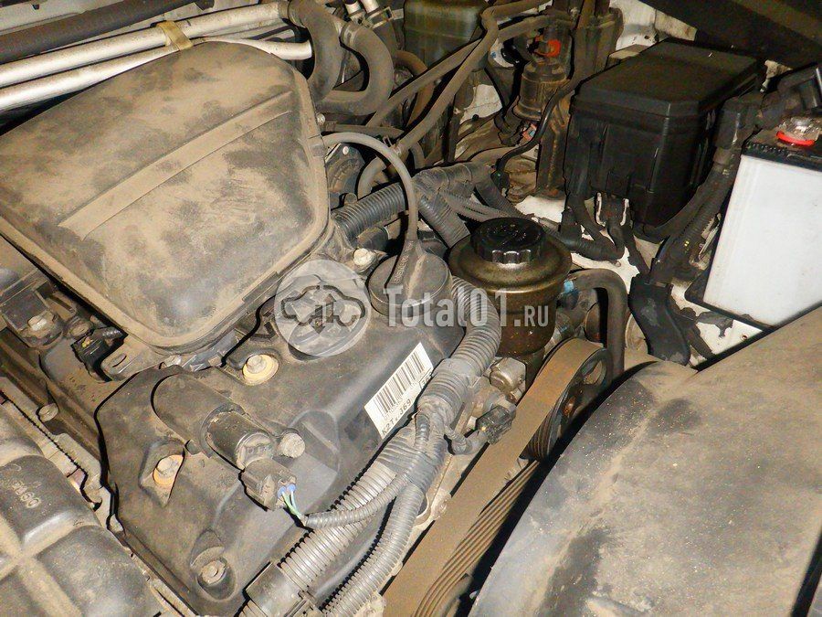 Фото Toyota Land Cruiser Prado 342