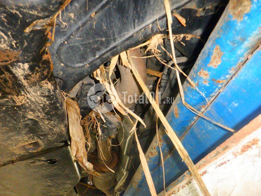 Фото Mercedes-Benz V-класс 266