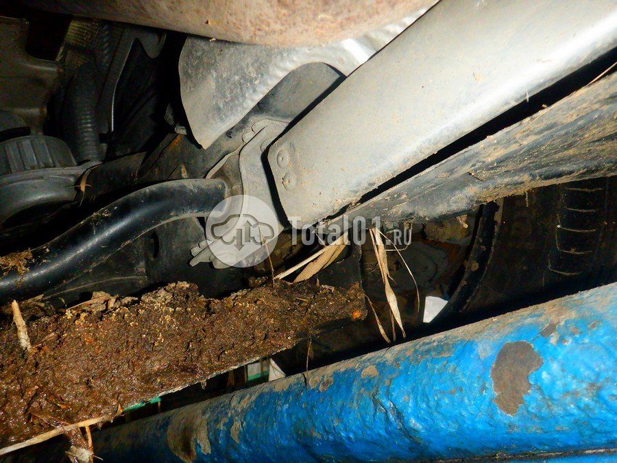 Фото Mercedes-Benz V-класс 284