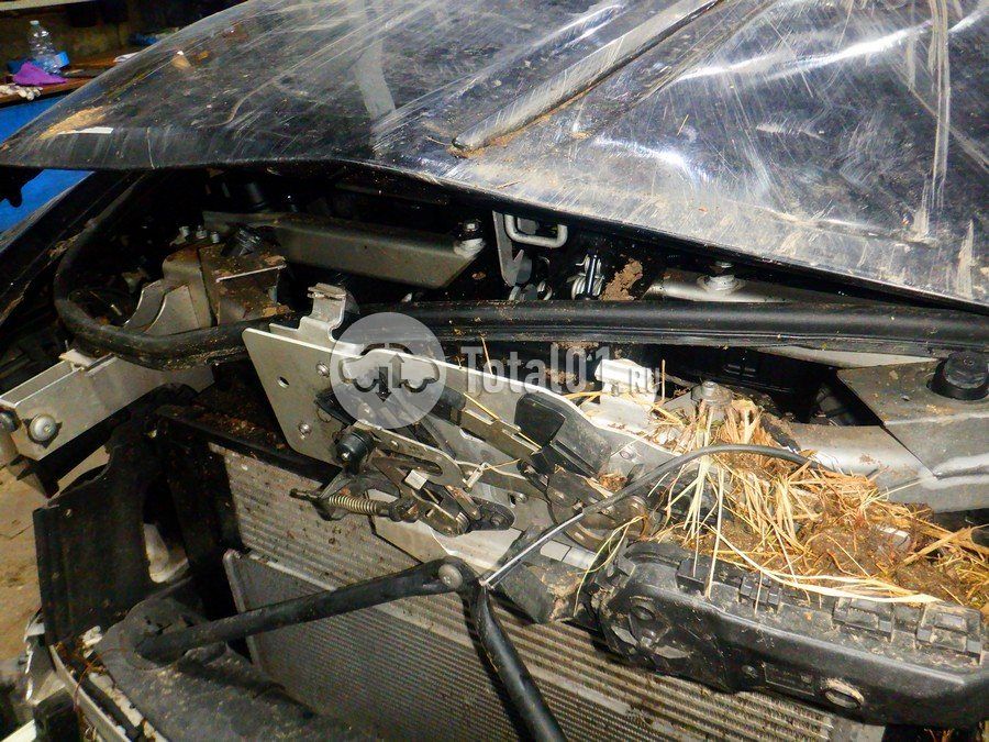 Фото Rolls-Royce Wraith 284