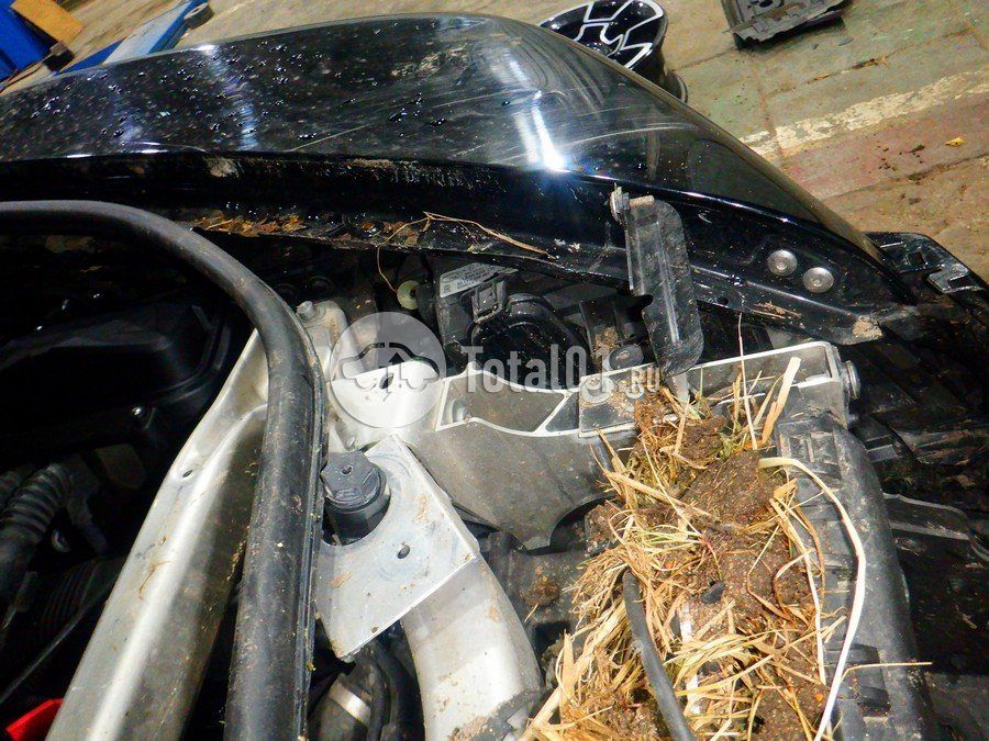 Фото Rolls-Royce Wraith 346